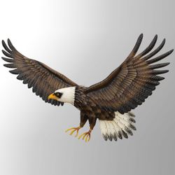 Bald Eagle in Flight